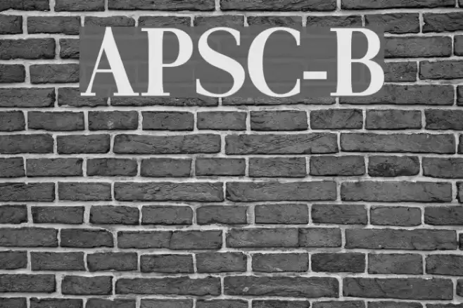 AntPoltSemiCond-Bold Font examples