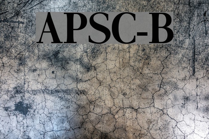 AntPoltSemiCond-Bold Font examples