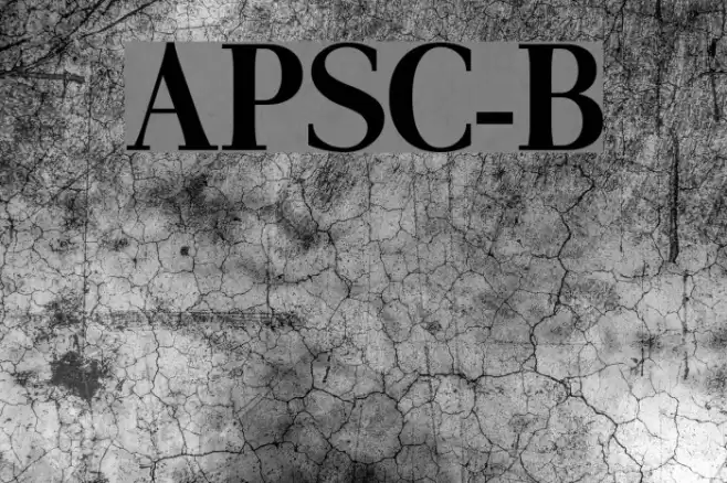 AntPoltSemiCond-Bold Font examples