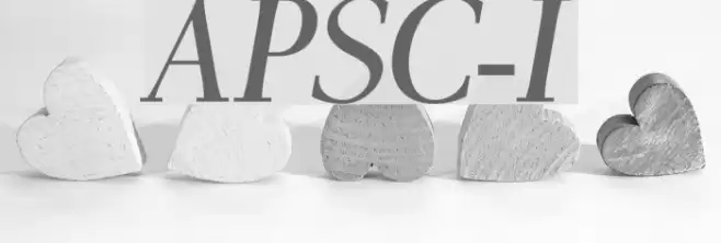 AntPoltSemiCond-Italic Font examples