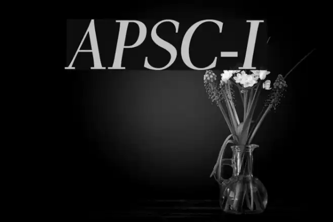 AntPoltSemiCond-Italic Font examples