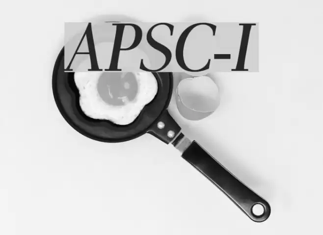 AntPoltSemiCond-Italic Font examples