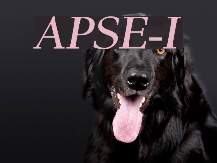 AntPoltSemiExpd-Italic Font examples