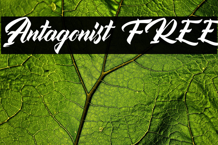 Antagonist FREE Example 1