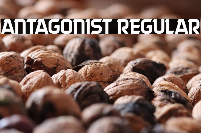 Antagonist Regular Example 1