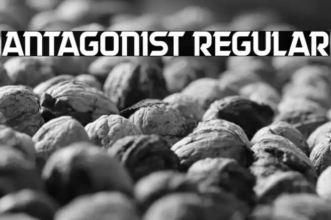 Antagonist Regular Font examples