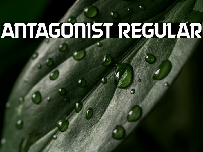 Antagonist Regular Example 2