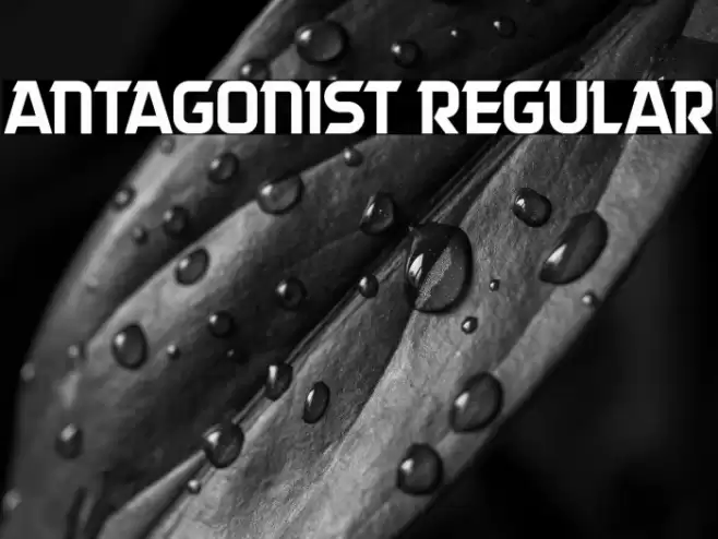 Antagonist Regular Font examples