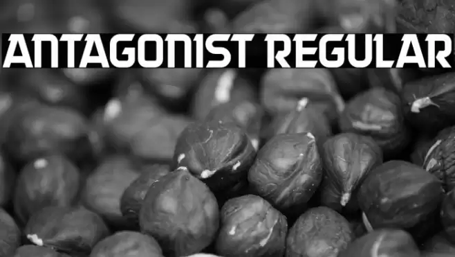 Antagonist Regular Font examples