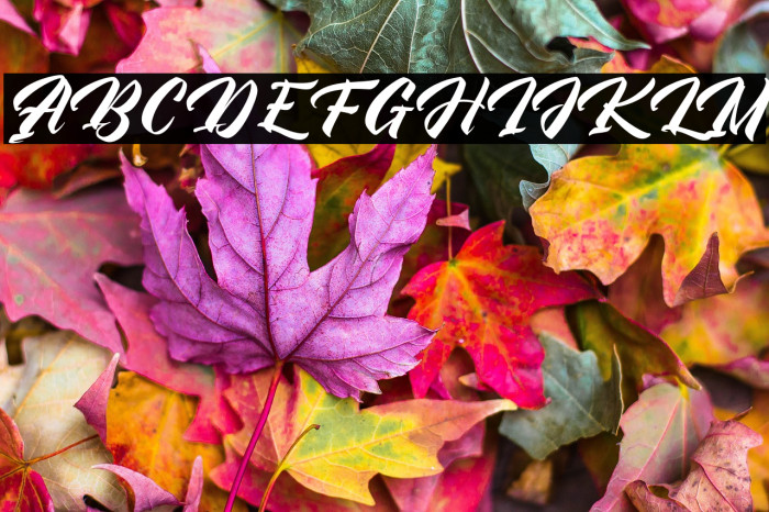 AntagonistFREE Example 2