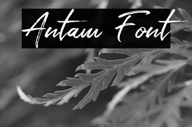 Antam Font examples