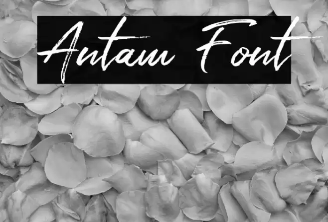 Antam Font examples