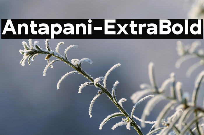 Antapani-ExtraBold Example 1