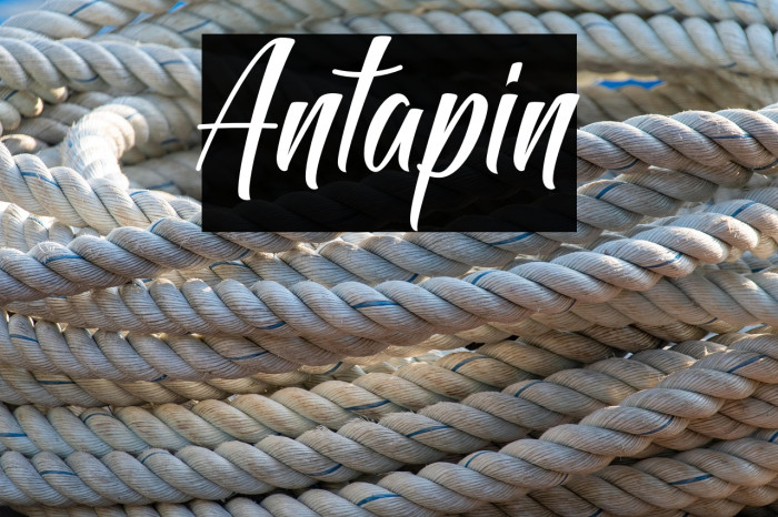 Antapin Example 2