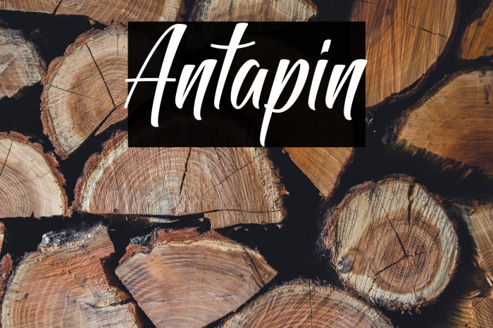 Antapin Example 3