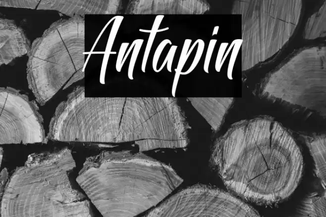 Antapin Font examples