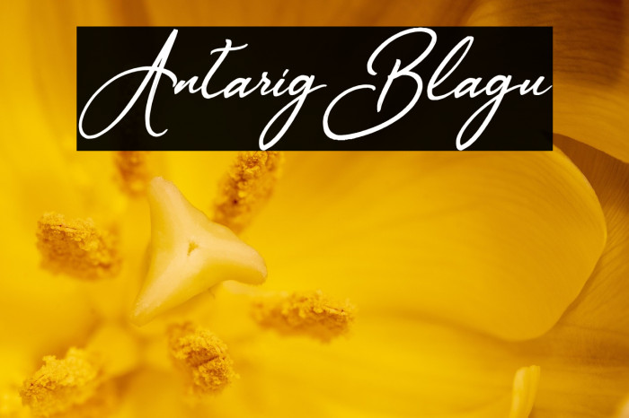 AntarigBlagu Example 3