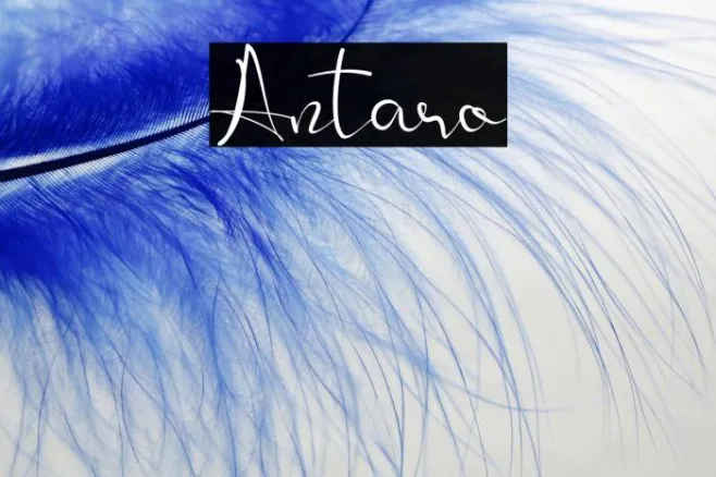 Antaro Example 1