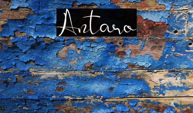 Antaro Example 2