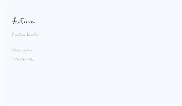 Antaro Business Card