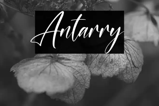 Antarry फ़ॉन्ट examples