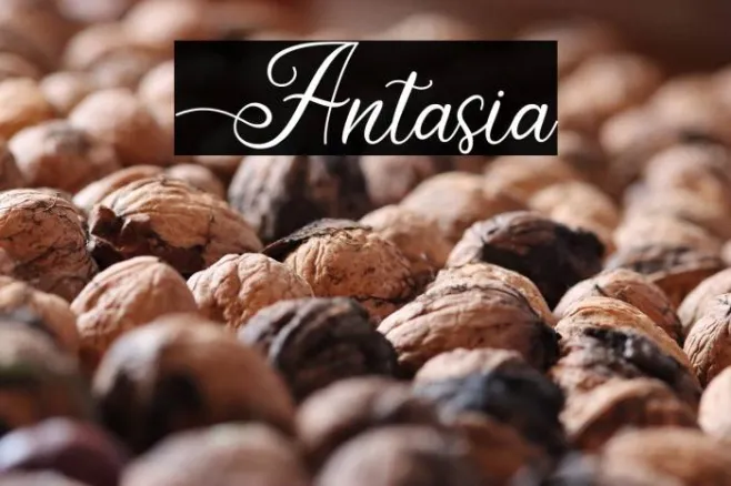 Antasia Example 2
