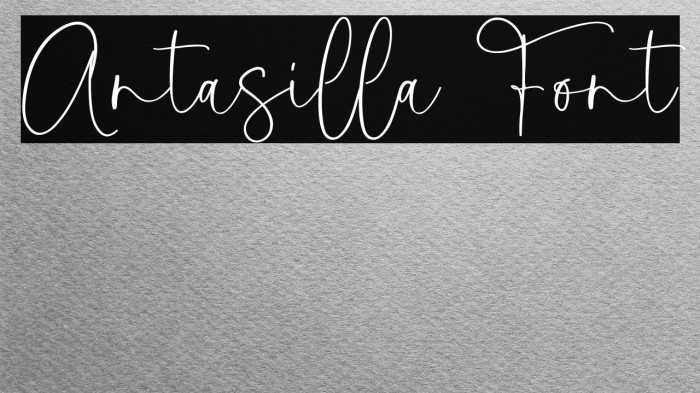 Antasilla Font Example 2