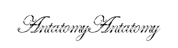 Antatomy Antatomy Font
