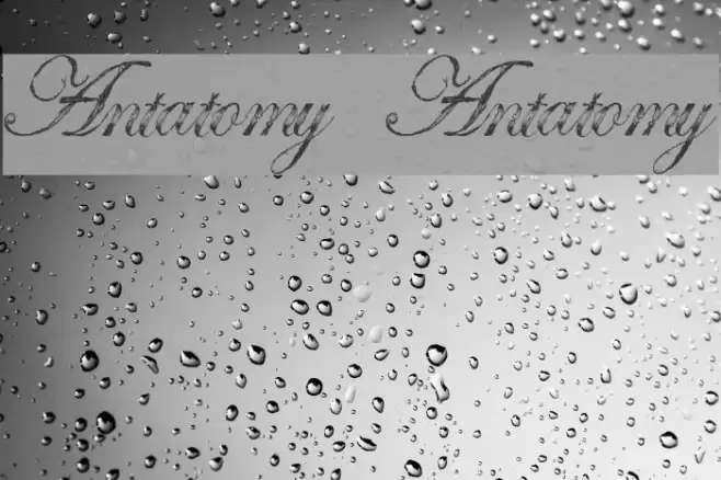 Antatomy Antatomy Font examples