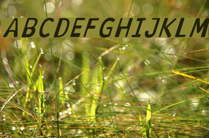 Antaviana BoldItalic Font examples