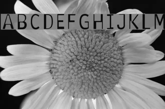 Antaviana Normal Fuentes examples