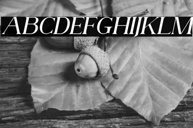 AnteCfSerifDemo-Italic Schriftart examples