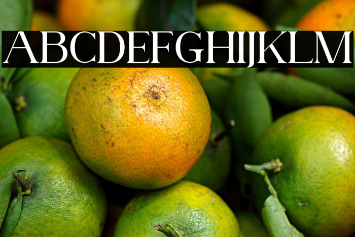 AnteCfSerifDemo-Regular Example 2