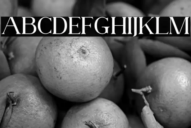 AnteCfSerifDemo-Regular Font examples