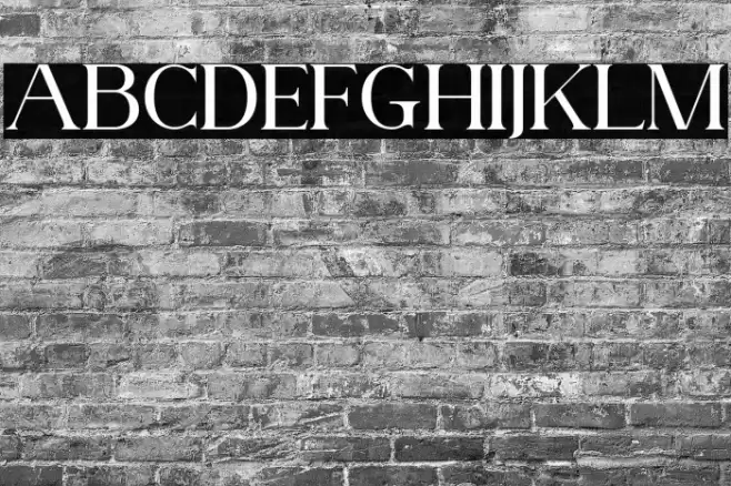 AnteCfSerifDemo-Regular Font examples