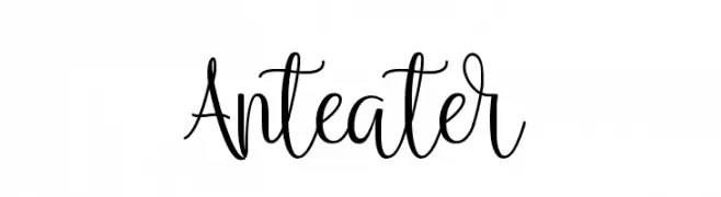 Anteater  font caratteri gratis