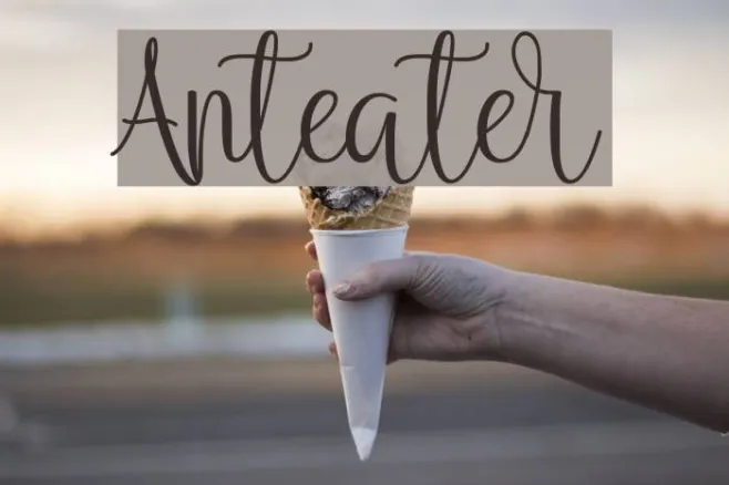 Anteater Example 1