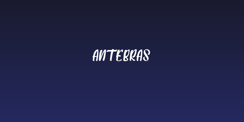 Antebras Social Header
