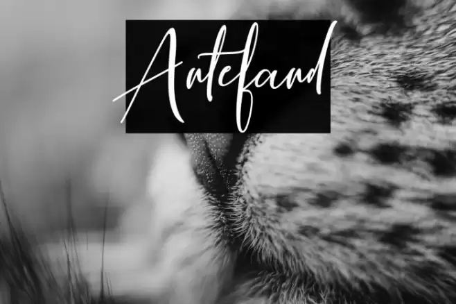 Antefand Font examples