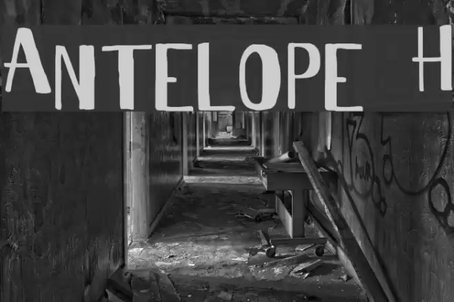 Antelope H Font examples