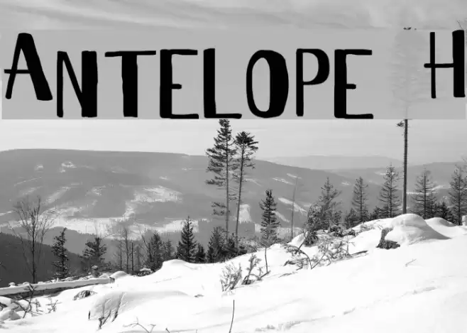 Antelope H Font examples