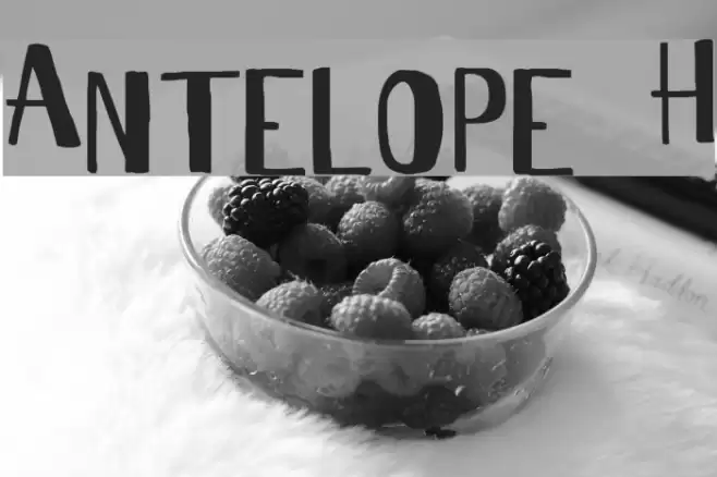Antelope H Font examples