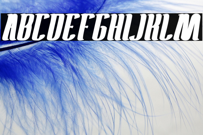 Antelope Run Bold Example 3