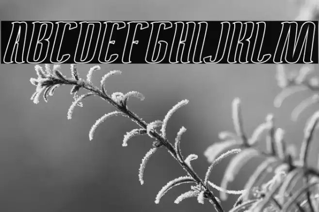 Antelope Run-Hollow Font examples