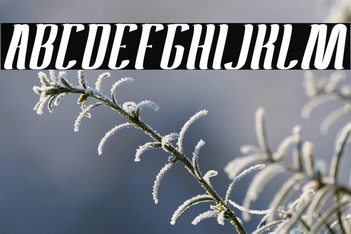 Antelope Run Example 3