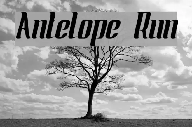 Antelope Run Caratteri examples