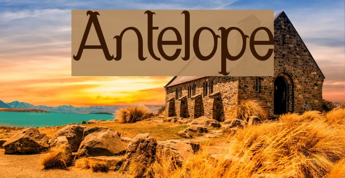 Antelope Font examples