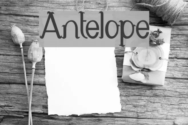 Antelope Font examples
