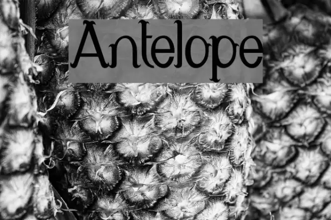 Antelope Font examples