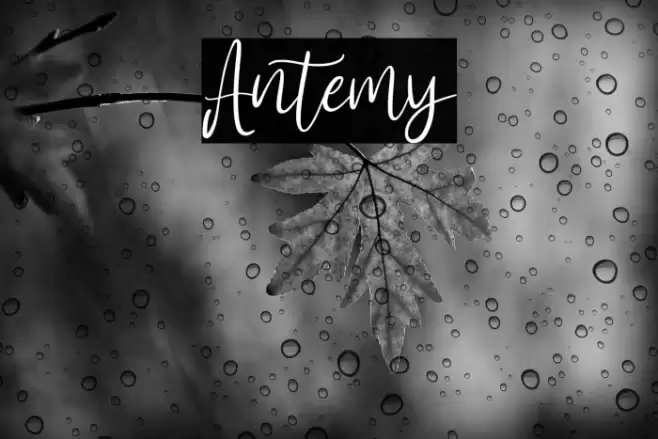 Antemy Font examples